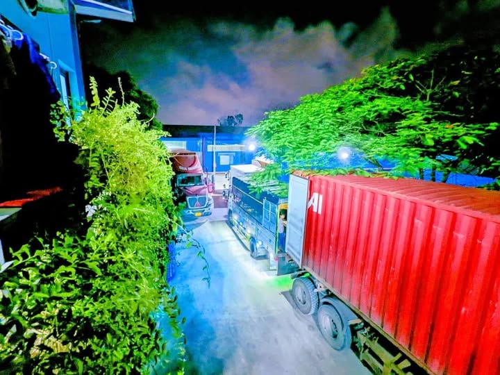 Exporting container at night time